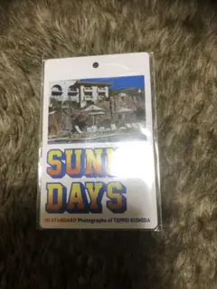 2025年最新】sunny days hi-standardの人気アイテム - メルカリ