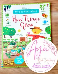 英語絵本 Usborne How things grow しかけ絵本 洋書