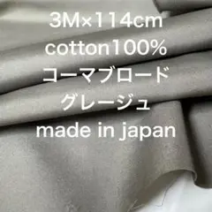 Item thumbnail for item 48e9d50d-378b-4f51-9777-d981ac2e215e