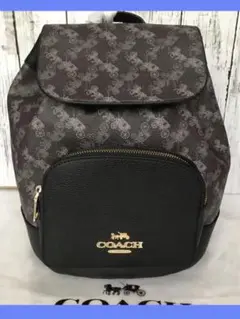 新品未使用 COACH コーチ リュック ホース キャリッジ正規品