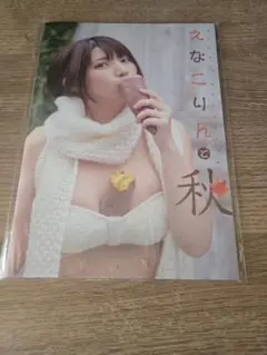 えなこ 『えなこりんと秋』2021 夏の表紙ジャックキャンペーン 特典冊子