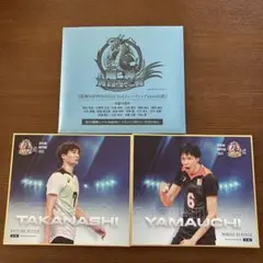 Item thumbnail for item 6219bbbc-7714-4200-a6ae-9e909751681a