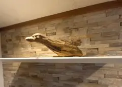 Item thumbnail for item 2dd9667c-c1e3-49c5-b468-c12123585b38