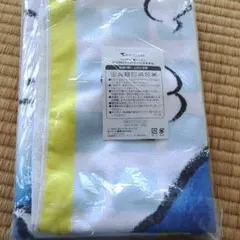 Item thumbnail for item 00079aee-16cb-4b42-b204-b8cf45e2fc4a