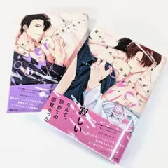 溢れて零れて、我慢できない　overflow　上下巻　やまち
