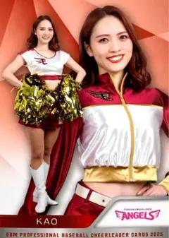 Item thumbnail for item 0eae0a12-6ec3-407b-a859-71b44c9151cc