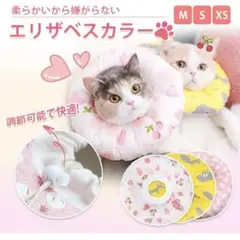 Item thumbnail for item 89adb35a-e202-4e58-9152-a4ae5326ecc6