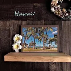 【送料無料】南国の風景☆HAWAII No.911　 フレーム付　 A4サイズ