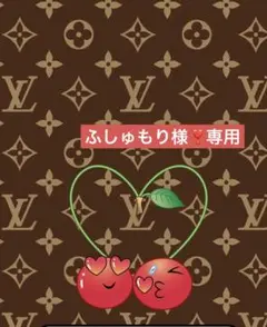 ふしゅもり様❣️専用