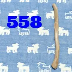 Item thumbnail for item e359cfda-80fd-4b7b-a578-829ae174374f