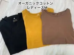 オーガニックコットン ロンT レディース L 3枚セット