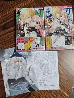 引きこもり姫と毒舌騎士様　5、6巻