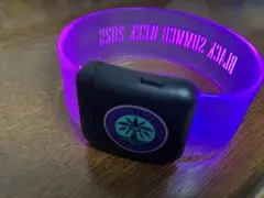 千葉ロッテ　BLACK SUMMER WEEK 2025 バンド