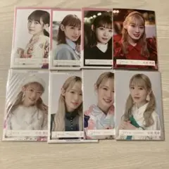 櫻坂46 小池美波 生写真 8コンプセット