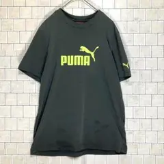 プーマ　ブラック Tシャツ Sサイズ　運動着 人気ブランド　人気カラー