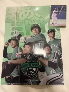 東京ヤクルトスワローズ TOKYO燕プロジェクトクリアファイル 八重樫幸雄カード