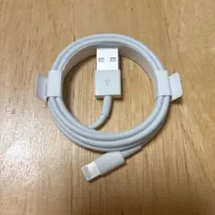 Apple USB充電器　Lightningケーブル