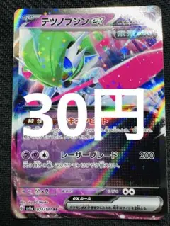 ポケモンカード　テツノブジンex
