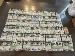 アニア　カードのみ　色々