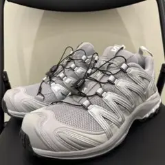 SALOMON XD PRO 3D
