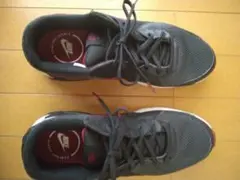 Nike Air Max グレー/ブラック/レッド シューズ