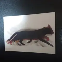 Muybridge 猫の動き ポストカード