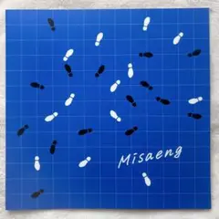 Misaeng ミセン パンフレット プログラム