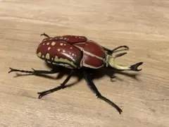 【ほぼ新品】赤いカブトムシのアクションフィギュア