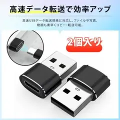【2個入り】USB Type-C変換アダプタ USB CからUSB;u6284;