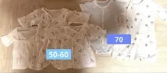 Item thumbnail for item 312d2ce4-58a9-4901-a657-8963c92a5969
