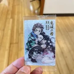 鬼滅の刃 カード 炭治郎と禰豆子 ウエハース