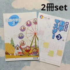 【189】よくわかる国語の学習 漢字マスター 3年生 受験 入試 ドリル 問題集