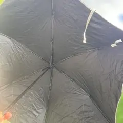 黒 折りたたみ傘 晴雨兼用　WPC