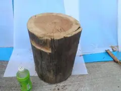 Item thumbnail for item adca9c19-046b-4c00-a23a-695a448b4fa1