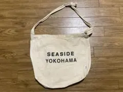 Item thumbnail for item a74e493d-7d4f-4736-9f6c-9afcd852d2eb