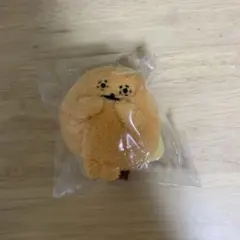 ナガノキャラクターズ　ミニミニマスコット　もぐコロ　ともぐい