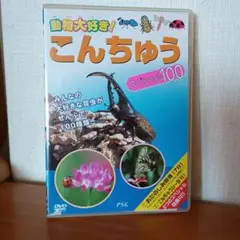 こんちゅう スペシャル100 DVD