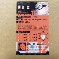 ハイキュー プロフィール 特典 付録 ジャンプフェア 月島蛍 山口忠 最強