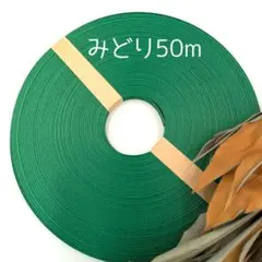 紙バンド　「みどり50m」