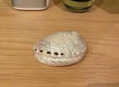 貝殻　オブジェ