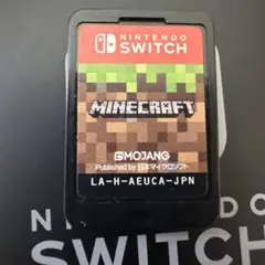 Minecraft Nintendo Switch版