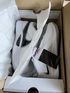 Item thumbnail for item f6e1766a-f0e5-424b-83c7-00a9bb4eed3c