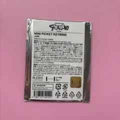 SEVENTEEN Follow ミニピケットキーリング　ジュン