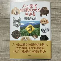 八ヶ岳で40頭の犬と生きる　川股昭彦