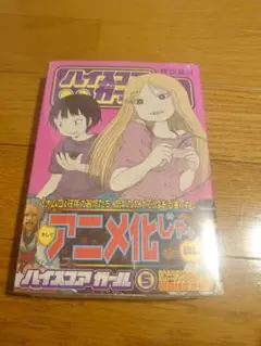 クリアファイル★HMV特典★ハイスコアガール 2025年最新】ハイスコアガール クリアファイルの人気アイテム