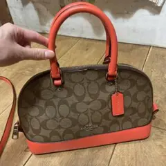 Item thumbnail for item b2528b0e-2853-4296-90c9-0de933243201