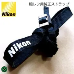 Item thumbnail for item 2f879890-5afd-410c-8606-2dc2e4b02142