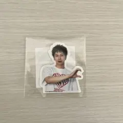 THE RAMPAGE RAVERS DAYロト（長谷川慎）