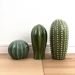 IKEA サボテン SJÄLSLIGT イケア 美品