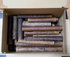 Item thumbnail for item ff5b634e-71ce-4b2a-bd66-951f3ea6b13c